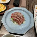 카메참치 이미지