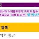 건강한 피부샵