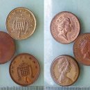 본가오리 이미지