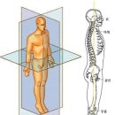 바른자세와 척추측만증 이미지