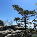 5월 정기산행 (대궐령 , 왕거암 , 가메봉 , 주왕산 ) 공지 이미지