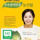 요즘 문제가 되고 있는 GAP(농산물 우수관리) 제도에 대해서 이미지