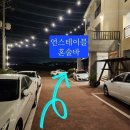 제주도 게스트하우스 스테이블 빌리지 | 제주 게스트하우스: “스테이블” 게하파티 후기