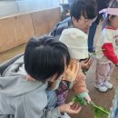 유정농장 | 경기광주 체험농장 <유정뜰농장> 아기랑 당일치기 후기