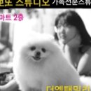 샛별사진관 - 포항시 남구 동해안로 5986 | 샛별사진관