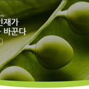 (주)풀무원 - 청주시 흥덕구 | (주)풀무원