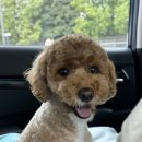 라떼멍살롱 이미지