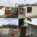달동네예술가