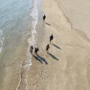 현송요양병원 이미지