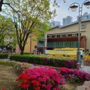 구갈성민유치원 이미지