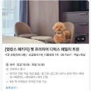 GS25 야당명동점 | [서울 애견 동반 호텔] 호텔 더 보타닉 세운 명동 | 강아지랑 즐긴 멍캉스 패키지 이용 후기
