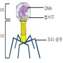 에이플러스과학나라 이미지