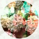 빛나라네일