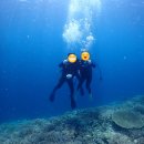 S美Shop | 미야코지마 야비지에서 스노쿨링 &amp; 스쿠버다이빙 하기 (예약 방법,후기)