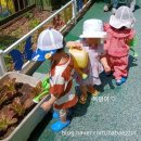 자연사랑어린이집 | [어린이집 적응일기] 등원20일차 실종안전교육 (생후 25개월 24일)