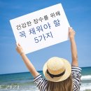 장수 Daum카페