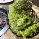 선진포크경주1호창신 | 경상도 경주 선진포크 한돈 가브리살에 된찌가 맛있는 맛집 (다 맛있음 주의)
