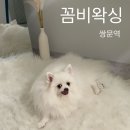 도봉-쌍문-도봉-1373 | 귀여운 강아지가 반겨주는 쌍문역왁싱 “꼼비왁싱” 꼼꼼하고 깔끔하게 해주시는 슈가링 브라질리언 후기