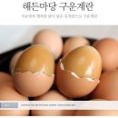 해든엔지니어링 | 네이버쇼핑 푸드윈도에서 구입한 :: 해든마당 구운계란 :: 추천★