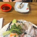 스시사루