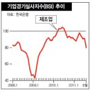 비에스아이 이미지