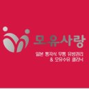 단유통 네이버블로그