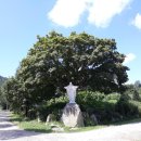 반석위의집 이미지