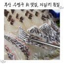 자갈치횟집 | 부산 현지인 추천 맛집, 수영구 자갈치 횟집 생생 후기
