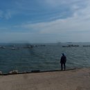 신안자연휴양림 이미지