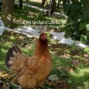 제우스농장 이미지