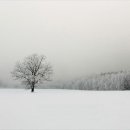 겨울나그네 이미지