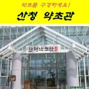 지리산사람들(지리산민들레) 이미지