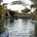 더베니스랜드 이미지