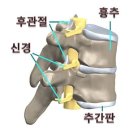 춘양삼성의원 이미지