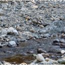 촌닭민박 | 내원사계곡민박 천성산 내원사 고향마당에서의 특별한 하루