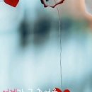 don't cry / 클랑(klang) 이미지