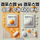 엘&엠 | 겔포스엠 vs 겔포스엘: 성분, 효과 차이와 위염 증상 완화 효능 분석