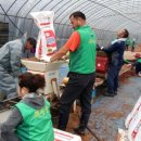 장고항3리 이미지