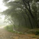 비나리목장 이미지