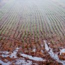 죽동마을 이미지