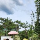 섬강농원 이미지