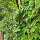 열린행정사사무소 이미지