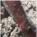 은평-010 이미지