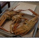 대게종가 이미지