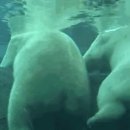 성암목욕탕 이미지