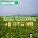 모슬공원 | 4월 제주도여행 제주 가파도 청보리축제 청보리밭 자전거 후기