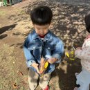 🍂🦉알록달록 가을나뭇잎 부엉이🦉🍂 이미지