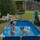 마동-18 | 포천 수영장 카페 메그 :: 키즈룸 물놀이터 18개월 아기 다녀온 후기