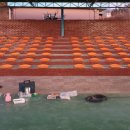 창녕성산초등학교 이미지