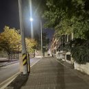 서부여성회관(10) | 수린이 수영일기 [40일차] 서부여성회관 수영장 강습 후기